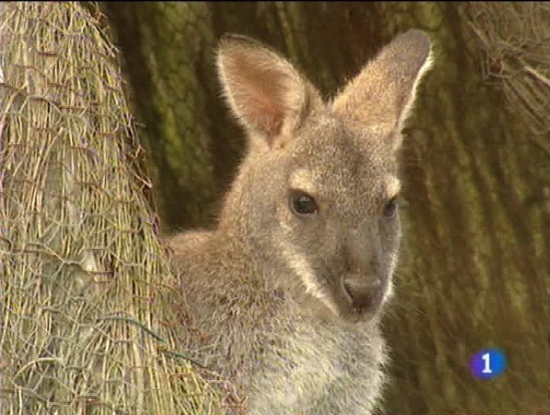 Panorama regional - 30/09/09 - Panorama Regional | Ver