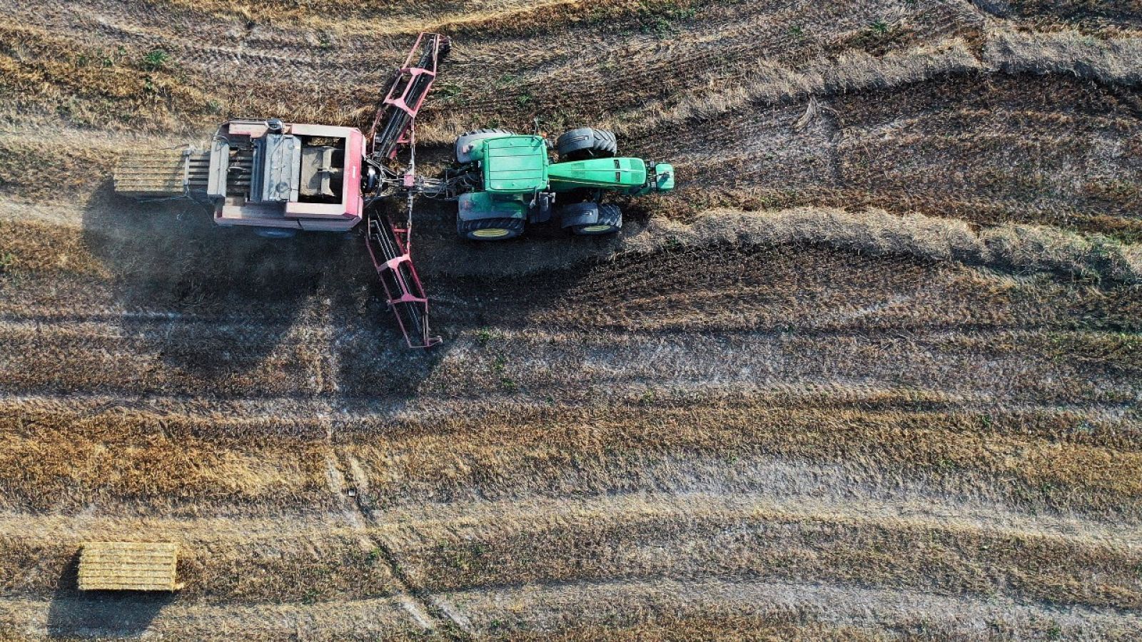 Se disparan los precios del cereal en España | Ver