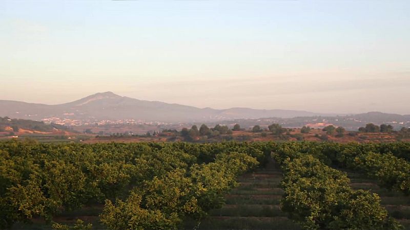 Temperaturas significativamente altas en puntos de la provincia de Málaga - ver ahora