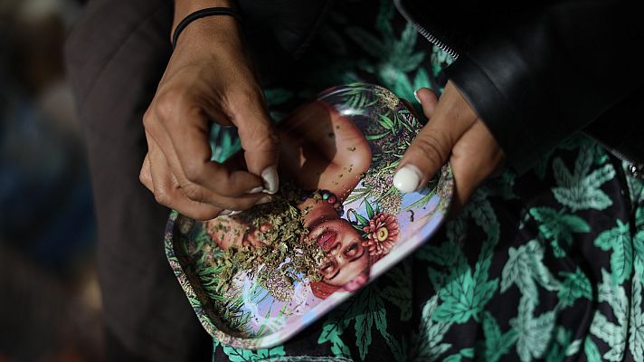 Informativo 24h - La Suprema Corte de México despenaliza la marihuana recreativa