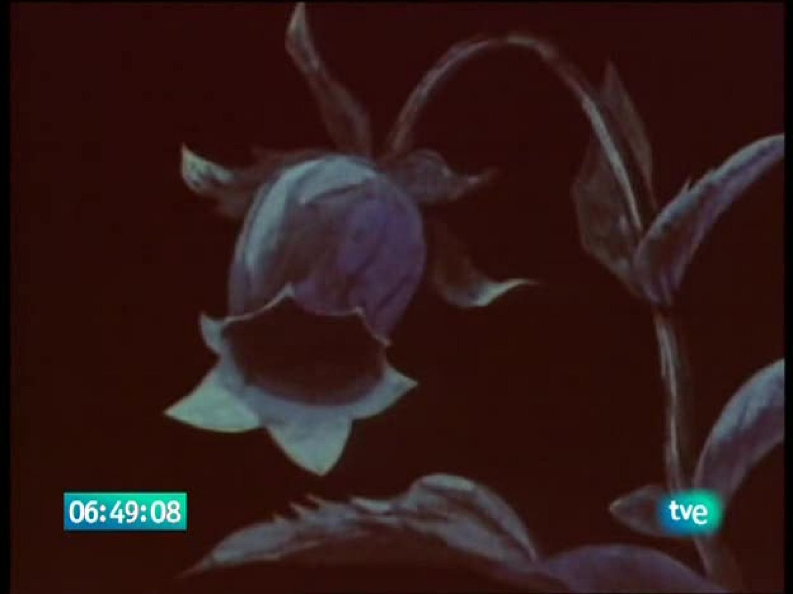 La abeja Maya - La Abeja Maya | Ver