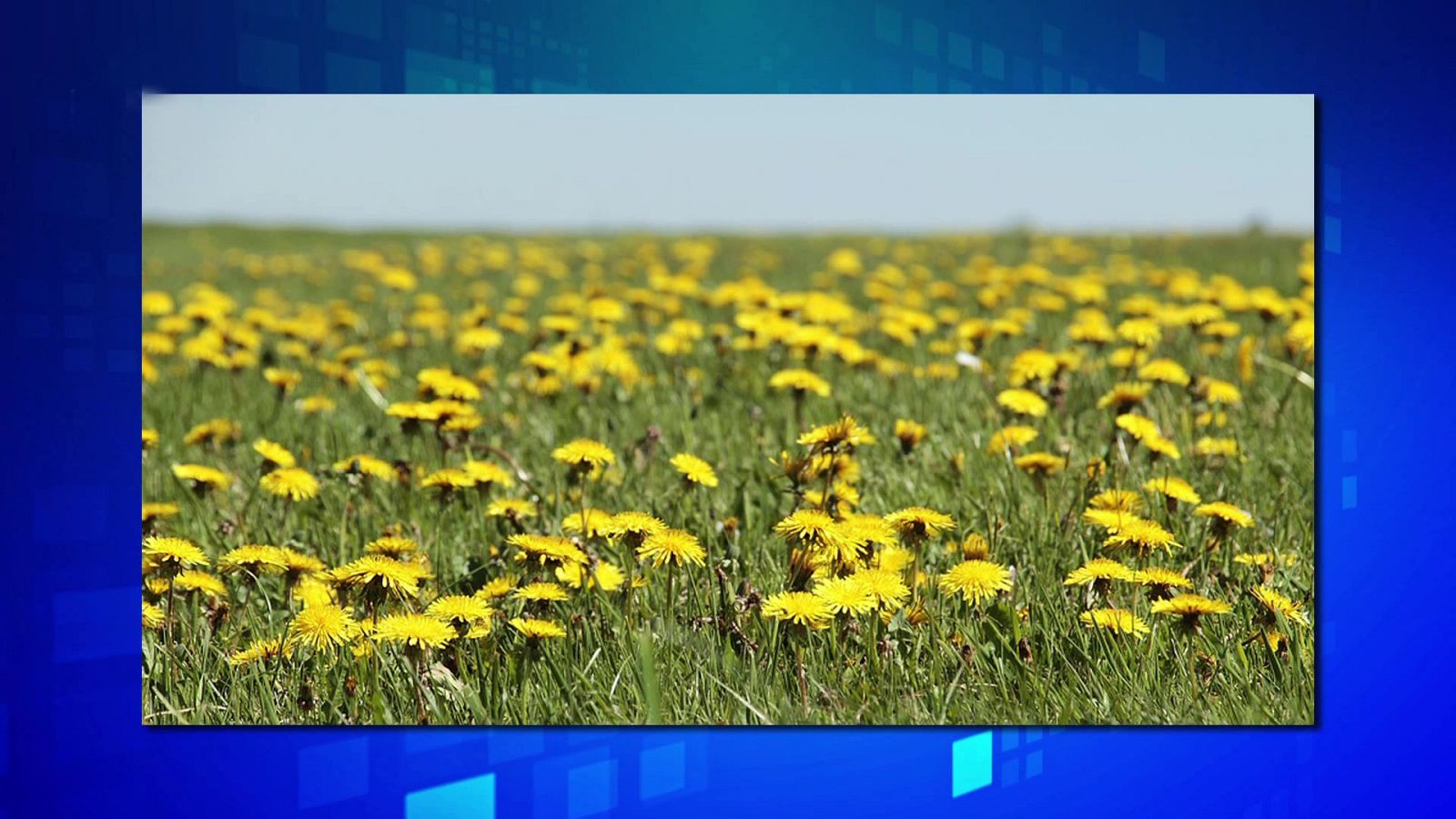 Programa concurso presentado por Jordi Hurtado. - ver ahora