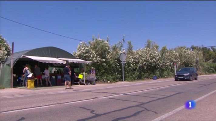 L'informatiu - Comunitat Valenciana - L'Informatiu Comunitat Valenciana 1 - 30/06/21