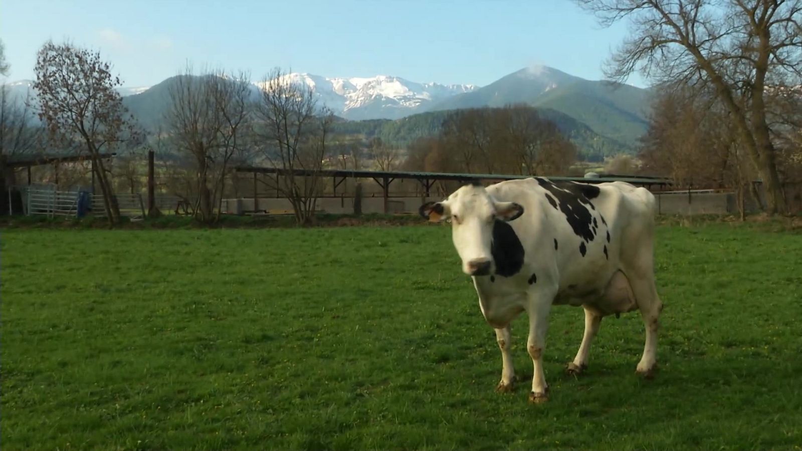 Aquí la Tierra - 30/06/21 - ver ahora