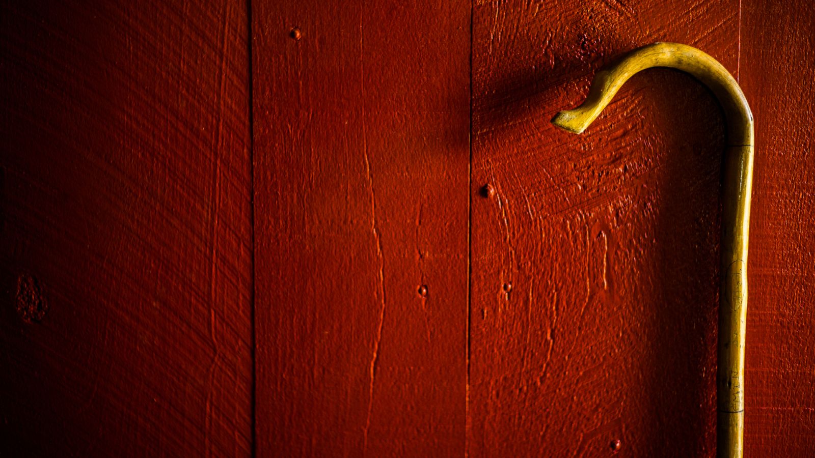 Aquí la Tierra - Las cachavas, un apoyo incondicional para pastores