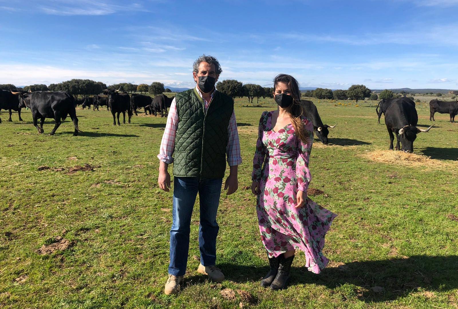 Aquí la Tierra - La serrana, una vaca en peligro de extinción