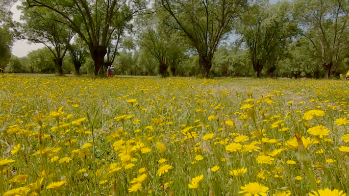 Saber vivir - Las claves para recargar las pilas en vacaciones