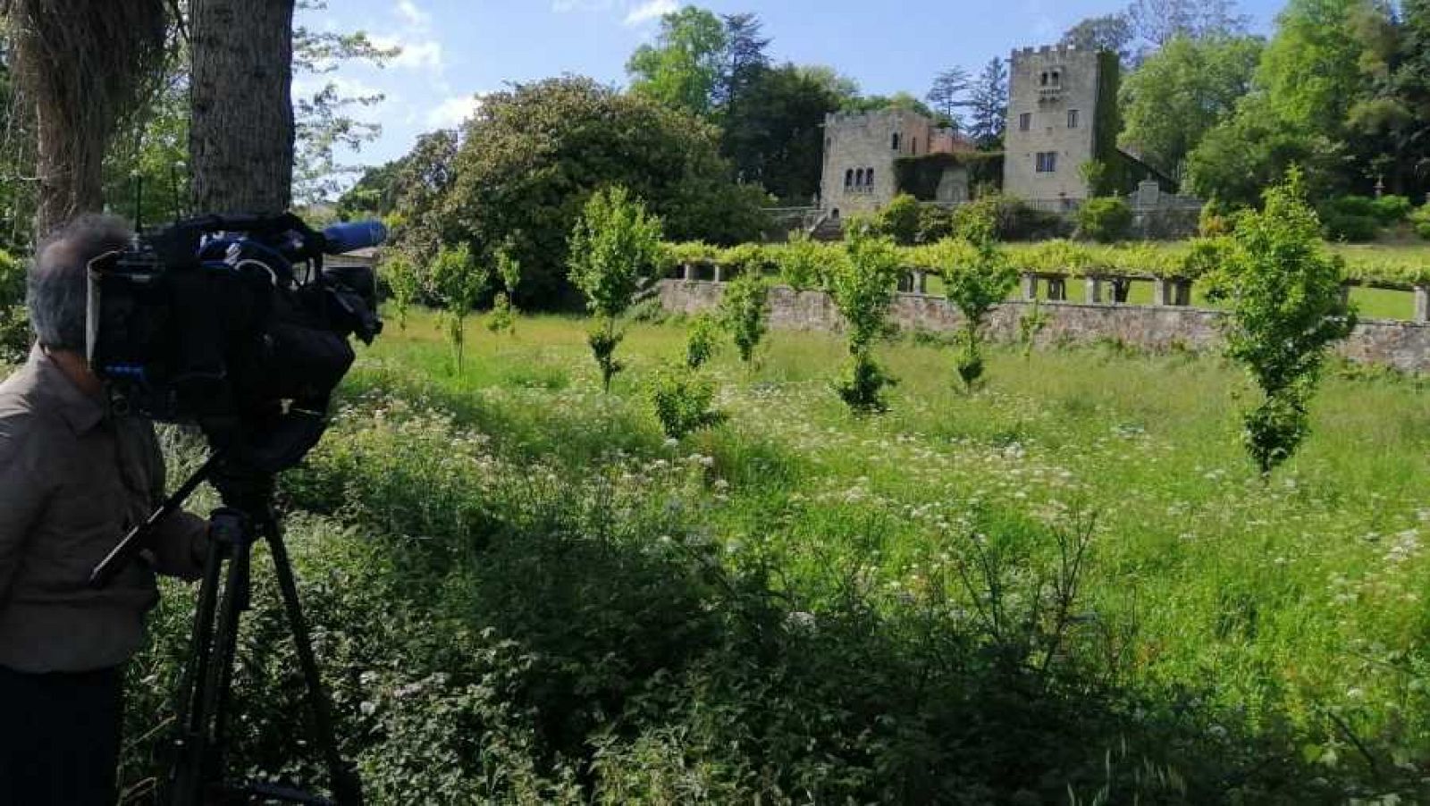 Los jardines del Pazo de Meirás vuelven a abrir al público - La hora de La 1 | Ver