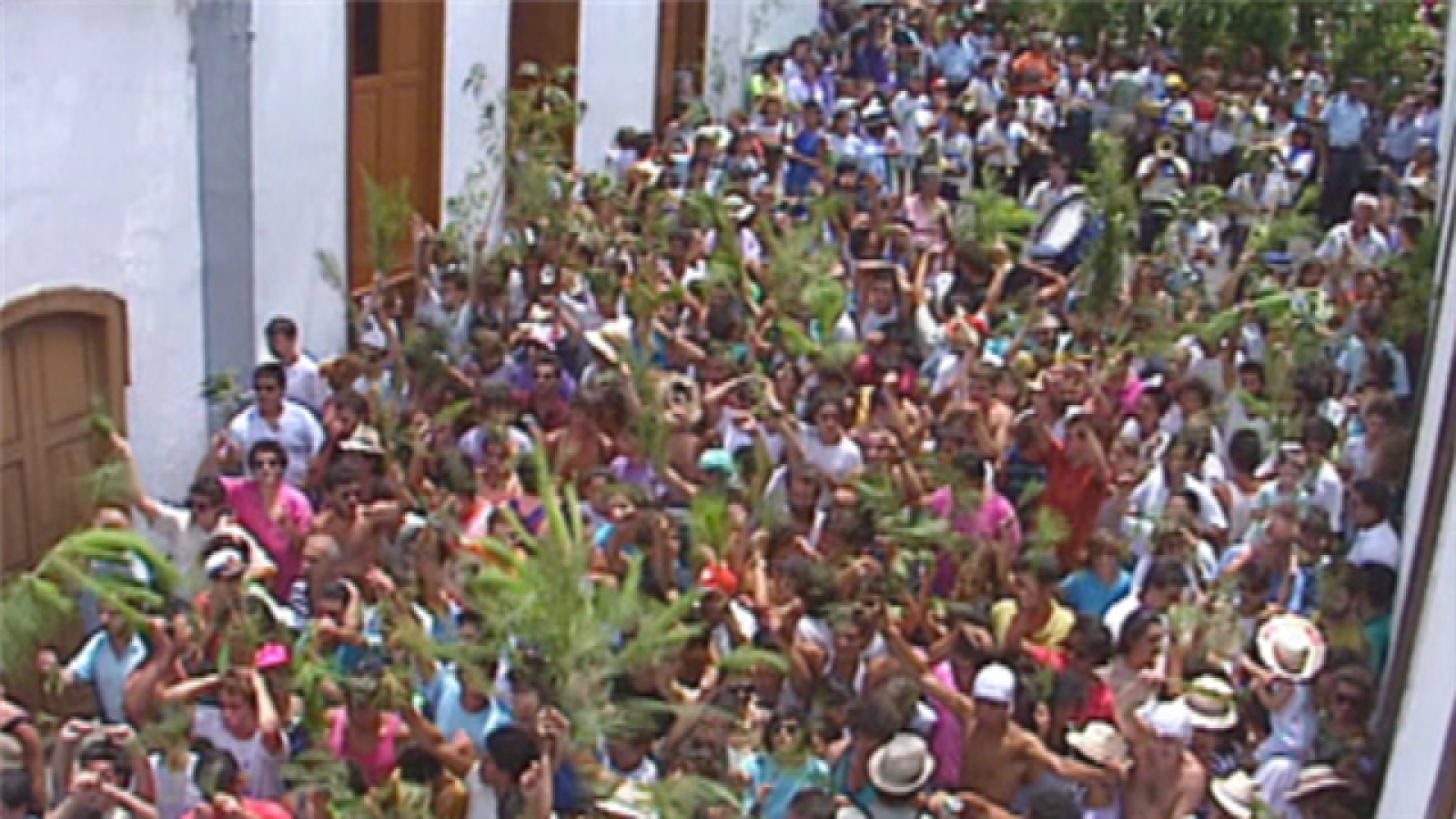 Senderos Isleños - El ritmo verde: La Rama