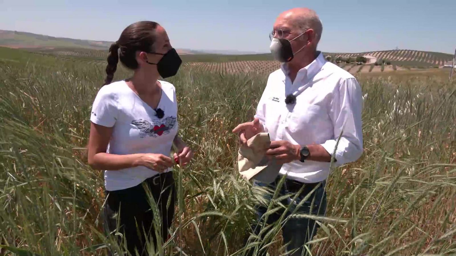 Aquí la Tierra - 04/07/21 - ver ahora