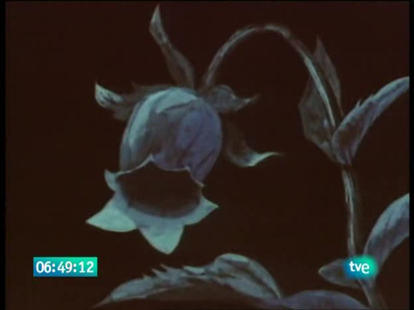 La abeja Maya - La Abeja Maya | Ver