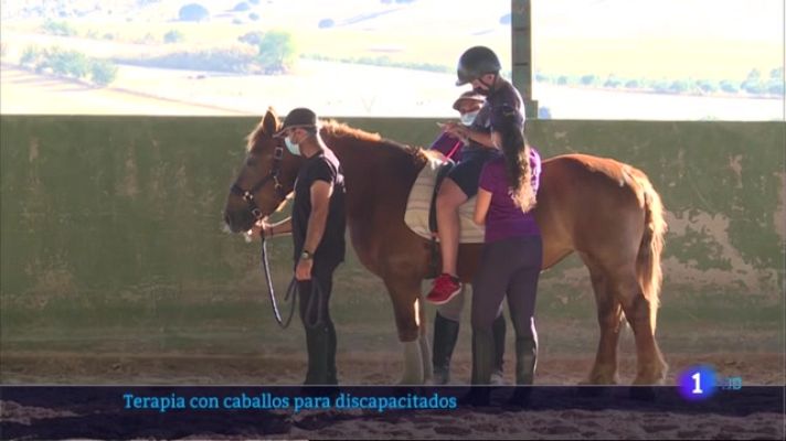 Noticias de Extremadura - Terapia con caballos para personas con discapacidad
