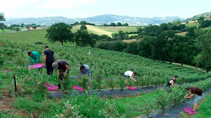 Comando Actualidad - Todo por un jornal