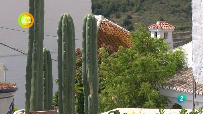 Agrosfera - GUALCHOS-CASTELL DE FERRO