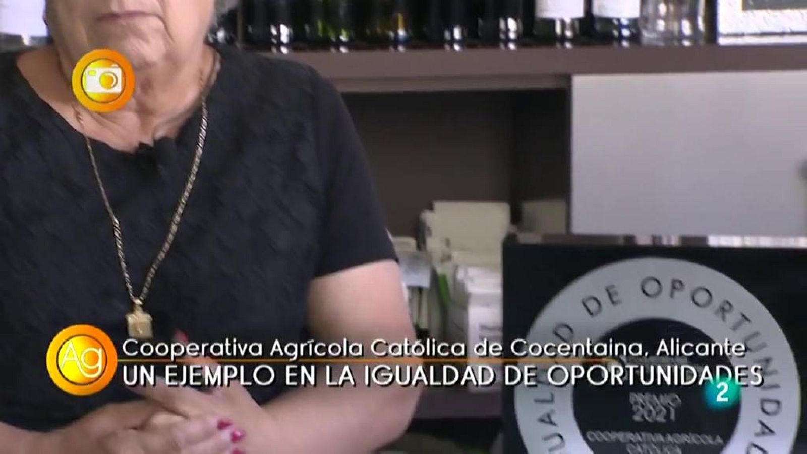 EN PRIMER PLANO, COCENTAINA