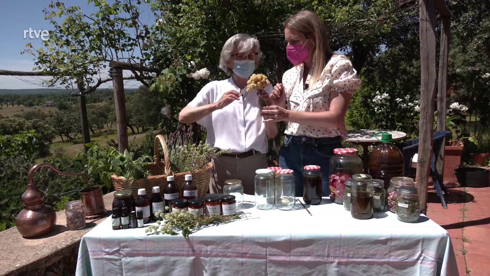 Aquí la Tierra - ¿Cómo se conservan las flores y hierbas medicinales en aceite?