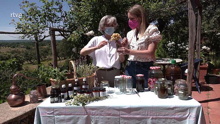 Aquí la Tierra - ¿Cómo se conservan las flores y hierbas aromáticas?