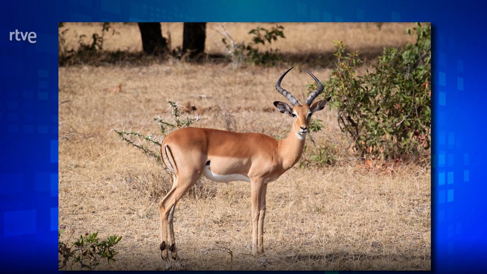 Saber y ganar - 13/07/21 - ver ahora