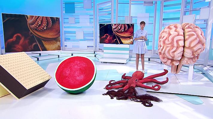 Saber vivir - Saber vivir - 11/07/21