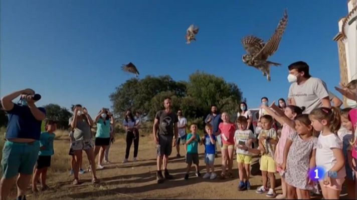 Noticias de Extremadura - Vuelta a la naturaleza de aves recuperadas por la Asociación por el Mundo Salvaje