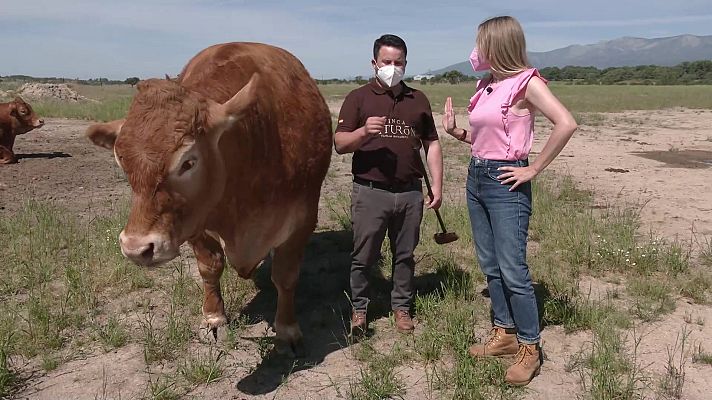 Aquí la Tierra - Aquí la Tierra - 09/07/21