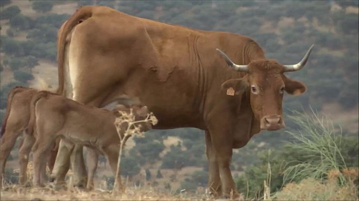 Agrosfera - Agrosfera - 10/07/21