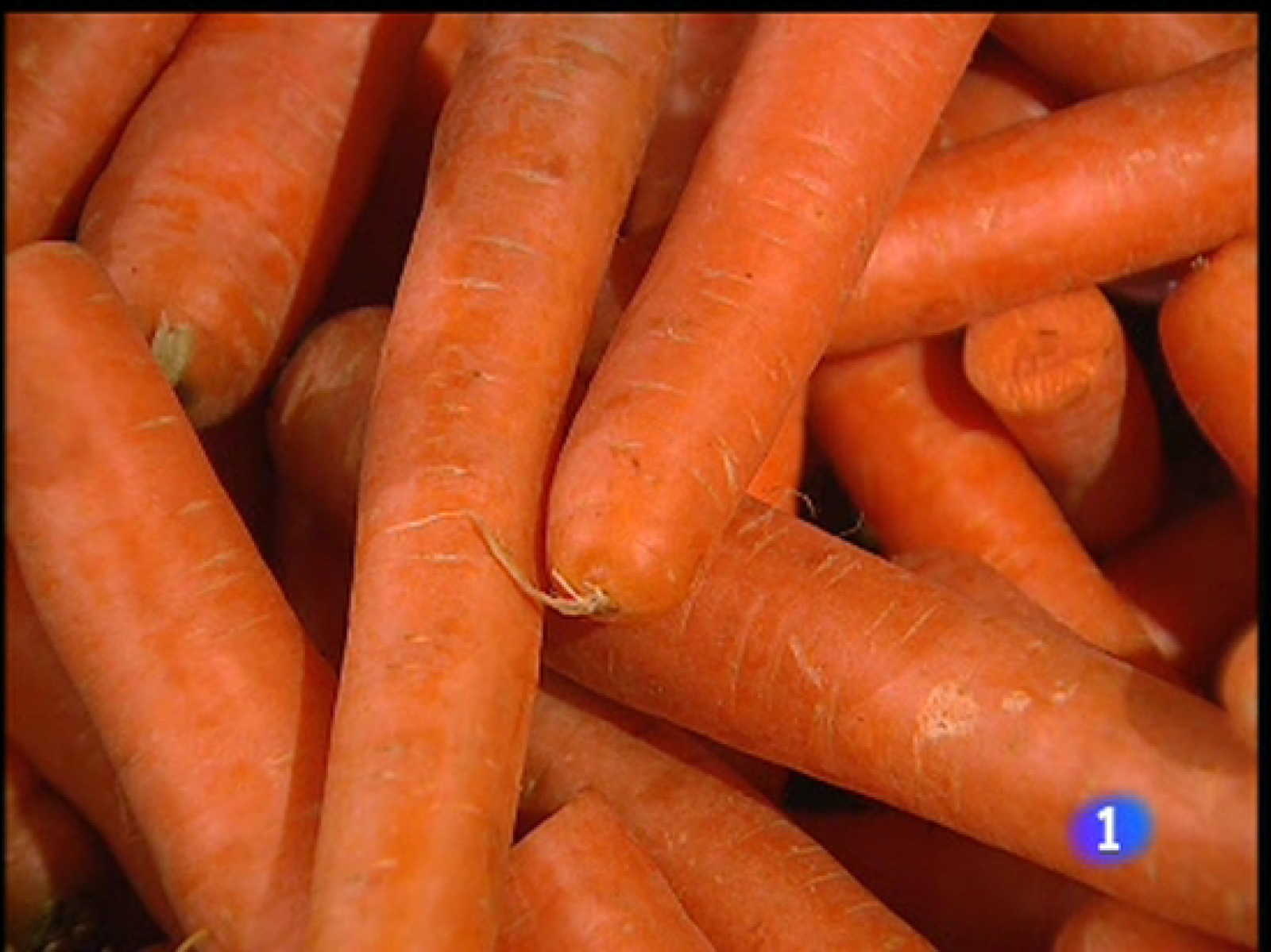 Lo vegetariano, de moda - Ciencia y tecnología en Rtve.es | Ver