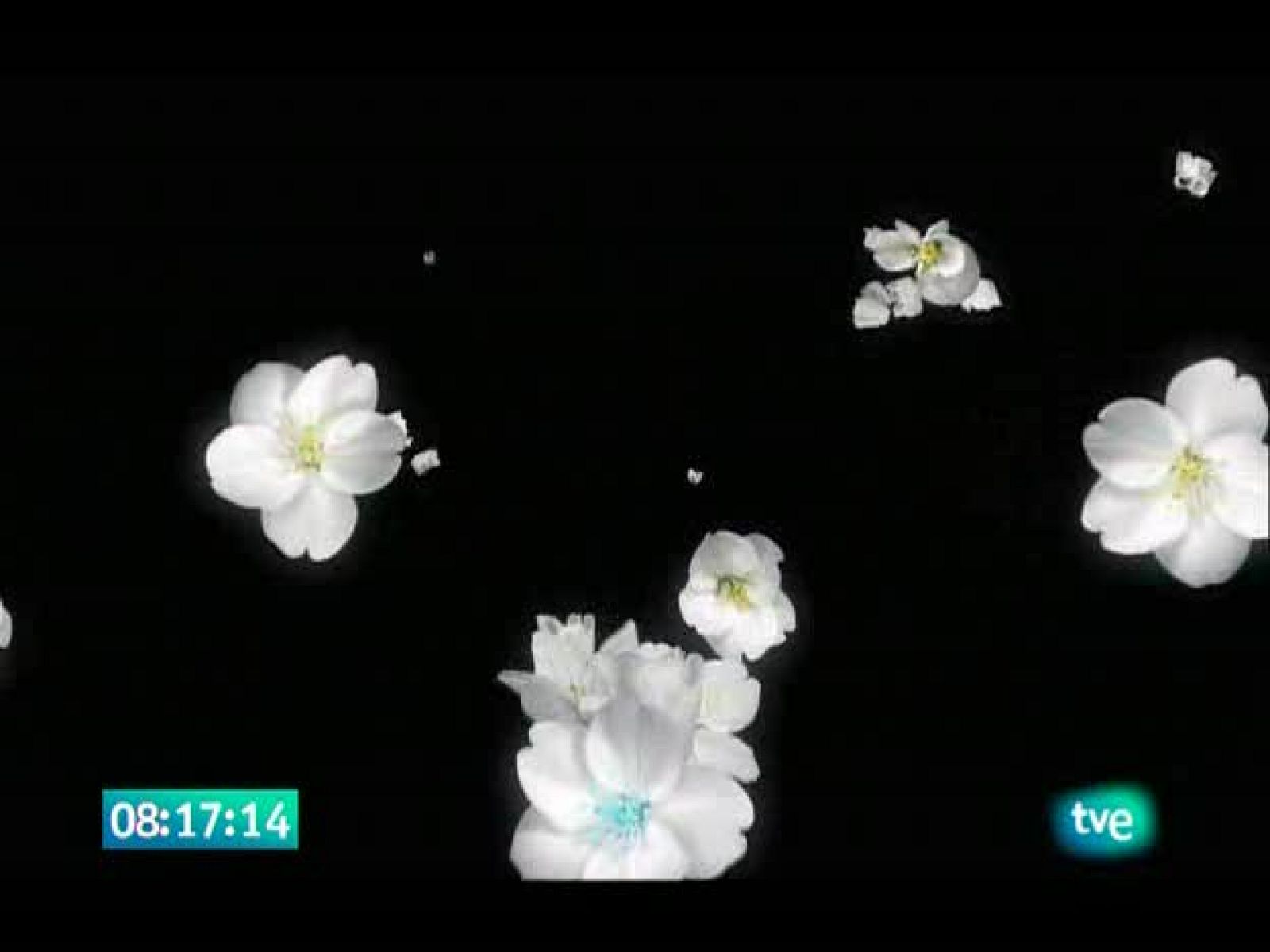 El jardín de los sueños - El Jardín de los Sueños | Ver