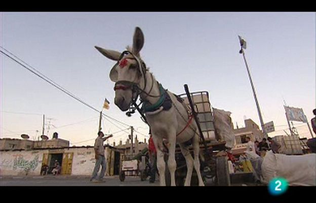 En portada - Los 'Plateros' de Gaza