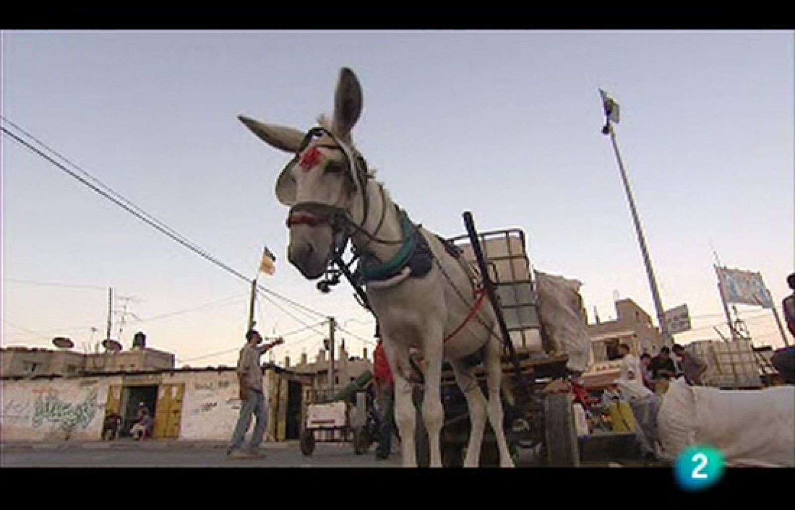 En portada - Los 'Plateros' de Gaza | Ver