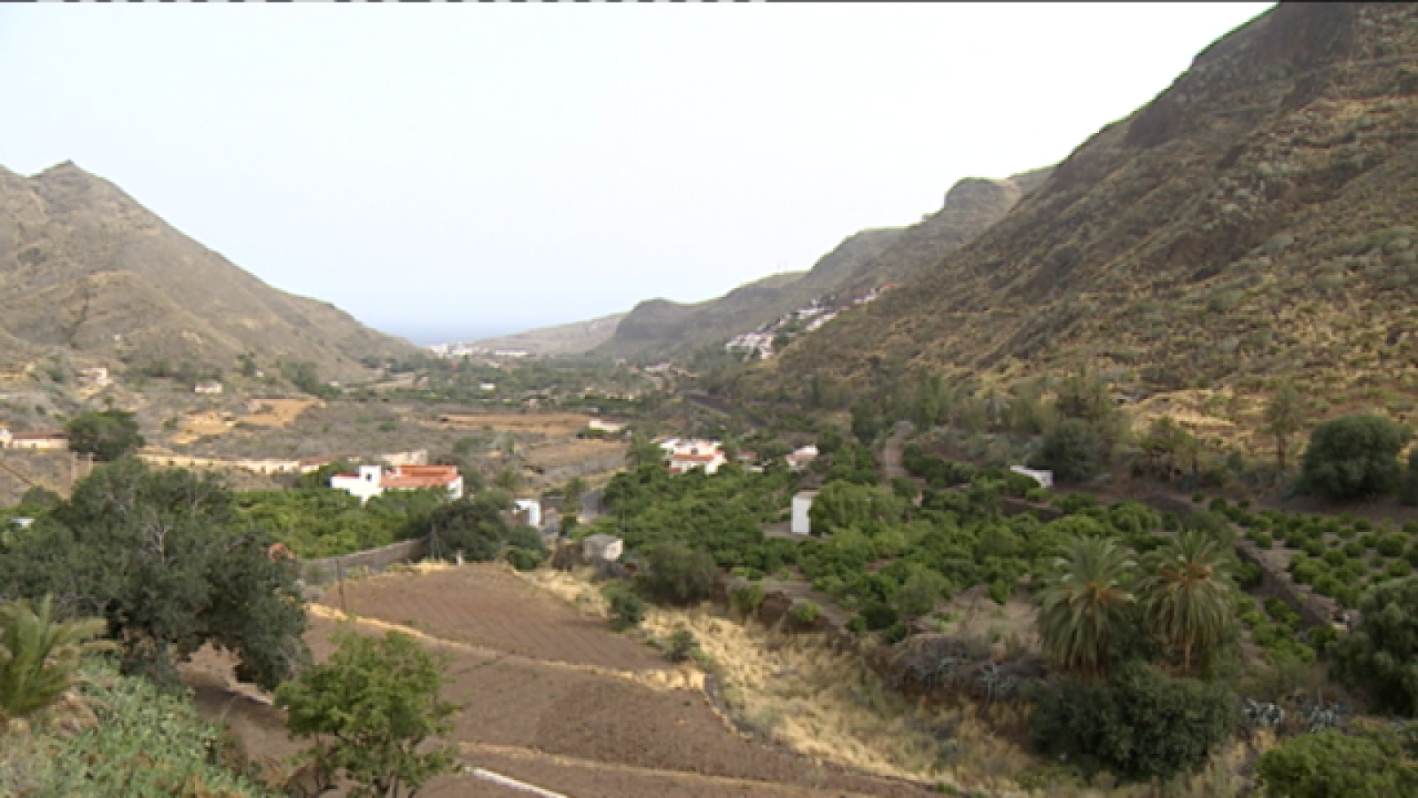 Telecanarias 2 - 13/07/2021