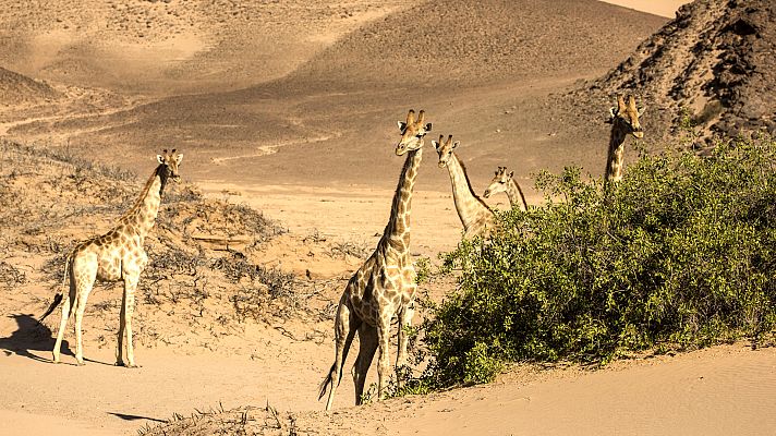 La naturaleza de nuestro planeta Tierra - Tierra firme