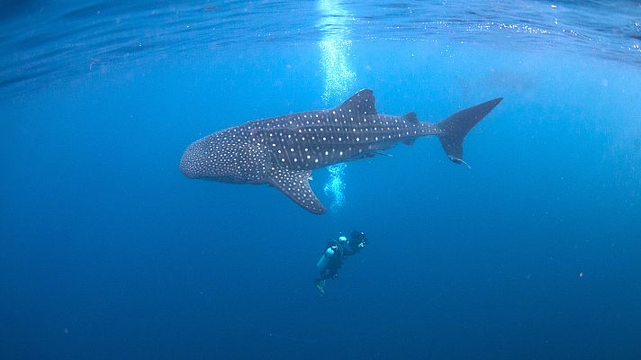 La naturaleza de nuestro planeta Tierra - Agua