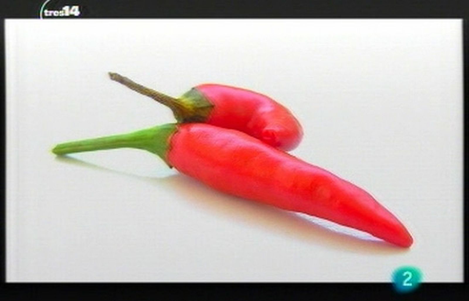 Curiosidades (rastros)