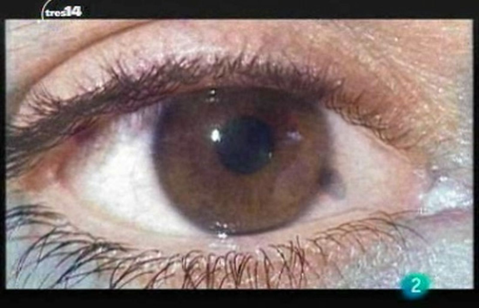 Últimas noticias (rastros)