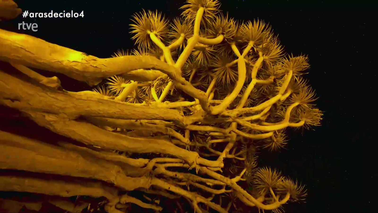 España a ras de cielo - Temporada 1 - Programa 4: España de noche - ver ahora