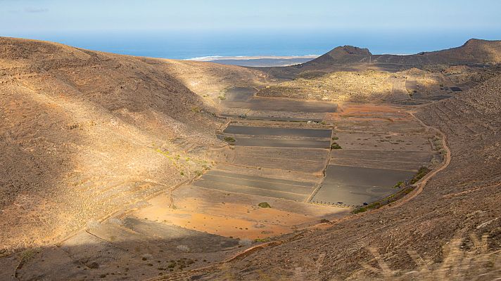 Aquí la Tierra - ¿Es posible cultivar en tierra volcánica?