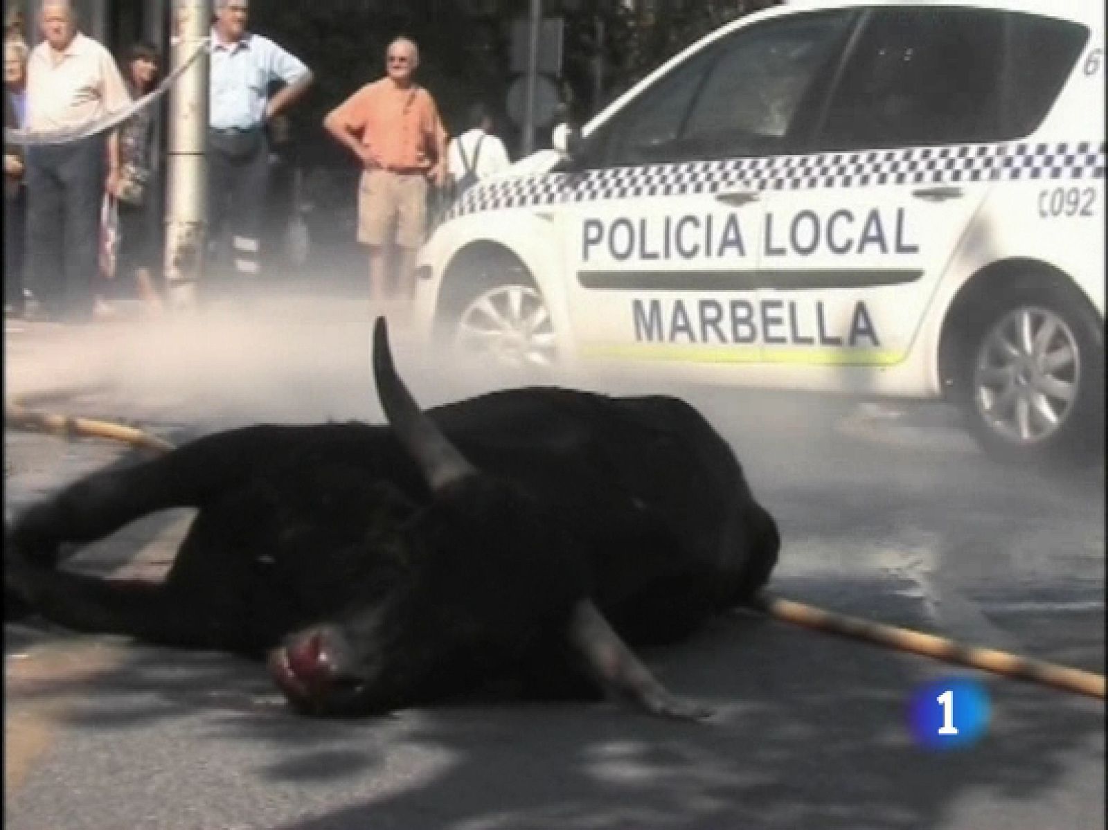 Abaten a un toro que se escapó por las calles de Marbella | Ver