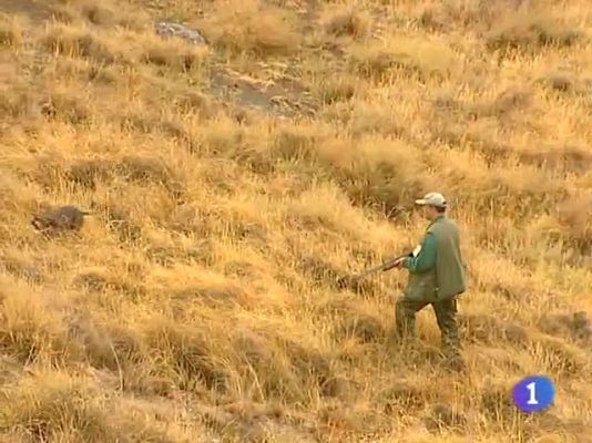 Noticias de Castilla-La Mancha - Noticias de Castilla-La Mancha - 06/10/09