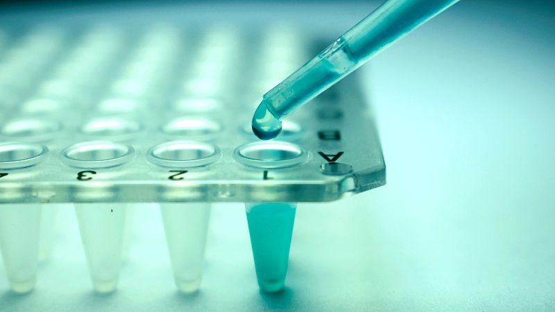 El Gregorio Marañón desarrolla una innovadora terapia celular para evitar el rechazo de los órganos trasplantados