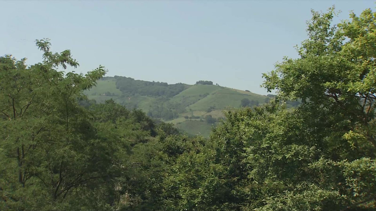 Temperaturas mínimas, en ascenso en general. En Canarias, en descenso, más acusado en medianías - ver ahora