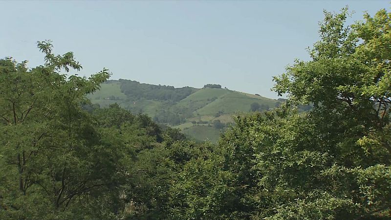 Temperaturas mínimas, en ascenso en general. En Canarias, en descenso, más acusado en medianías - ver ahora
