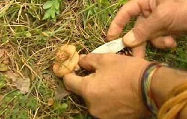 España Directo - Una salida al paro