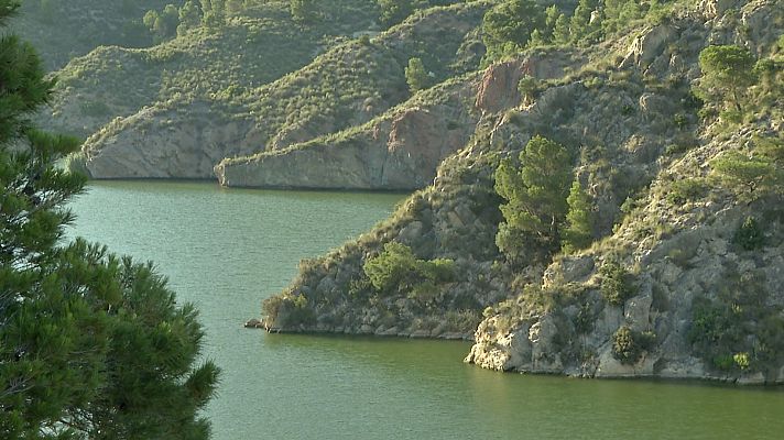 Agrosfera - Agrosfera - 24/07/21