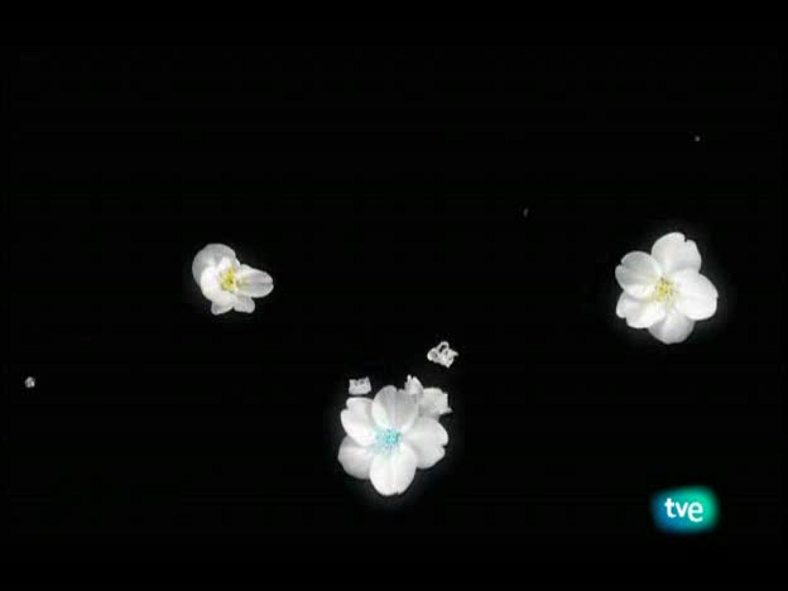 El jardín de los sueños - El Jardín de los Sueños | Ver