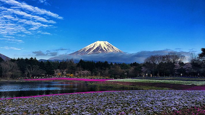 Civilizaciones (Arte) - Resplandor