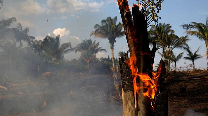 La tarde en 24h - La Amazonía brasileña sufre récord de incendios en 14 años