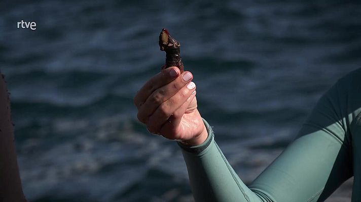 Aquí la Tierra - Aquí la Tierra - 27/07/21