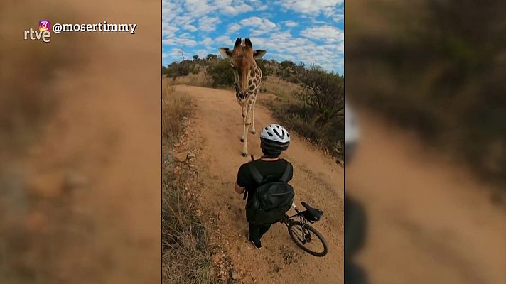 Aquí la Tierra - Aquí la Tierra - 29/07/21