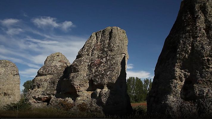El bosque protector - Bosques de piedra